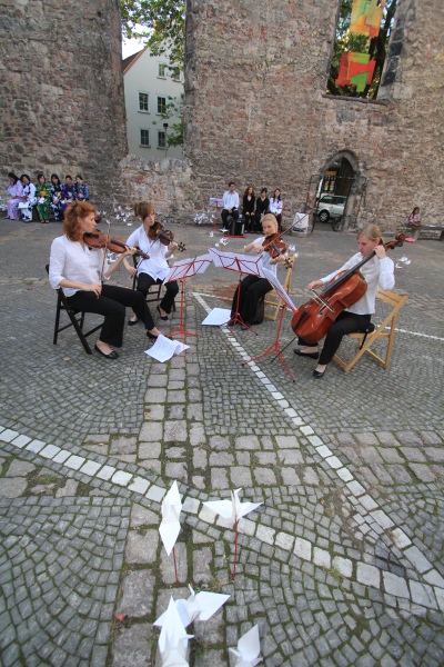 Kraniche   073.jpg